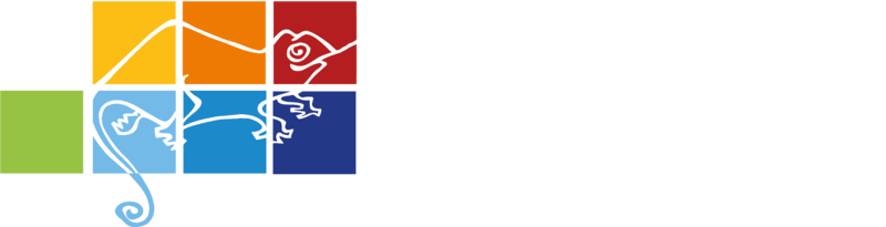 logo associatioin Caméléon